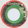 7inch Record DENNIS WALKS - True Love Is All I Need Mandingo 1992 Jamaica Reggae, Ska & Dub