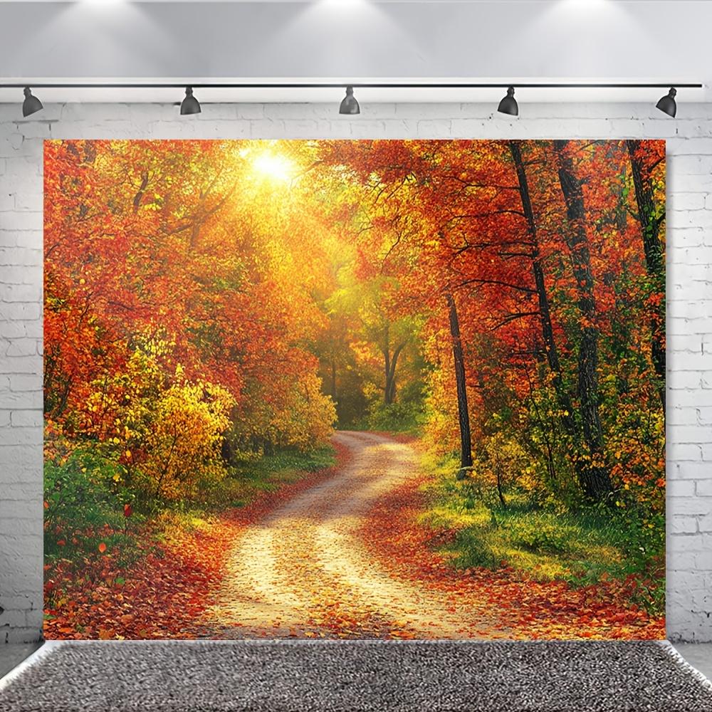 One autumn photography background, showcasing the beauty of a deciduous forest path, party decoration