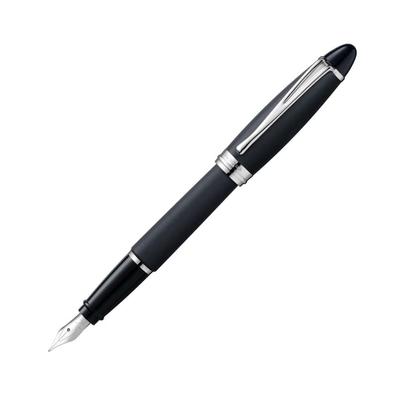 Перьевая ручка AURORA EF Extra Fine Point Epsilon Regular Imported Product B10-NE Satin/Black Dual-use