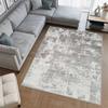 Digital Printing Washable Non-Slip Floor Living Room Carpet RVG0504