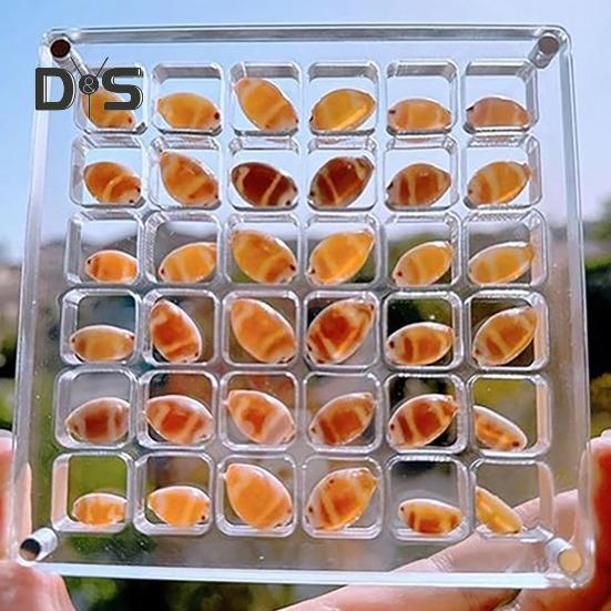 Acrylic Magnetic Seashell Display Box 36/64/100 Grids Square Small Crafts Natural Stone Nail Art Bead Charm Jewelry Show Organizer Container Case