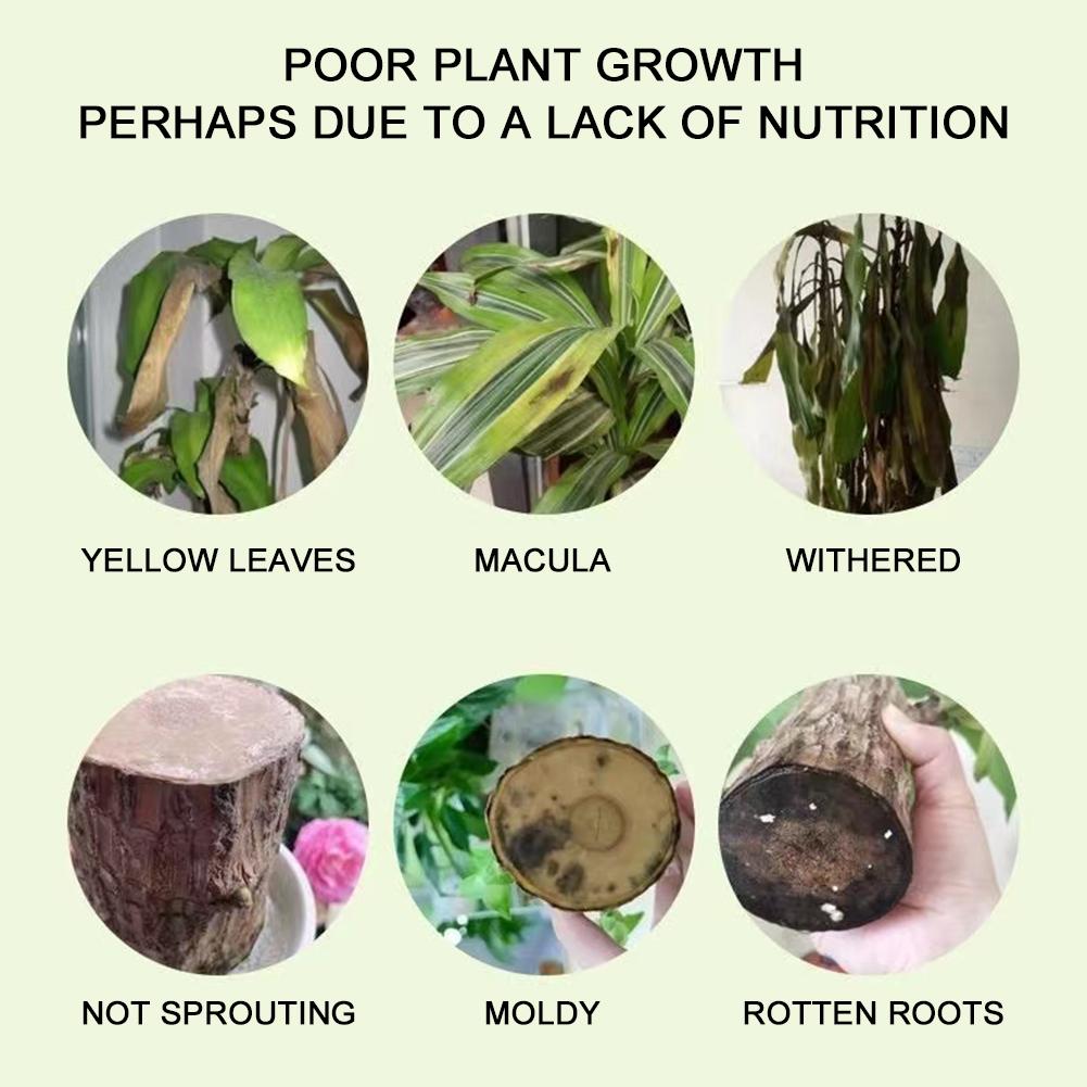 1/10 шт., специальный питательный раствор для древесины Бразилии, эффективное средство для улучшения здоровья растений, роста, многоцелевой усилитель роста растений