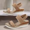 Women's Chunky Sandals Summer 2024 Designer Thick Sole Wedge Heels Shoes for Women Hollow Out Platform Gladiator Sandalias Mujer