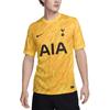 Тоттенхэм Хотспур 2024/25 Стадионный Вратарский Мужской Футболка Replica Nike Dri FIT для Футбола с Коротким Рукавом FN8804-720
