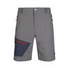 Mens Dalham Shorts