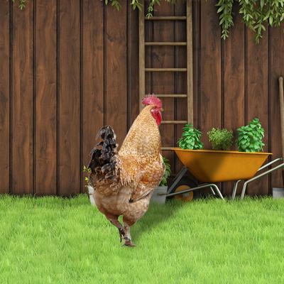 Статуя куриного животного, колья украшают акриловый атмосферостойкий знак декоративный