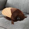 Cicada, Home Decoration, Cartoon Doll, Stuffed Animal , Girls And Adults