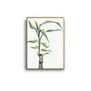 Traditional Chinese Painting Abstract Bamboo Steadily High Vintage Canvas Painting Wall Picture For Living Room No Frame