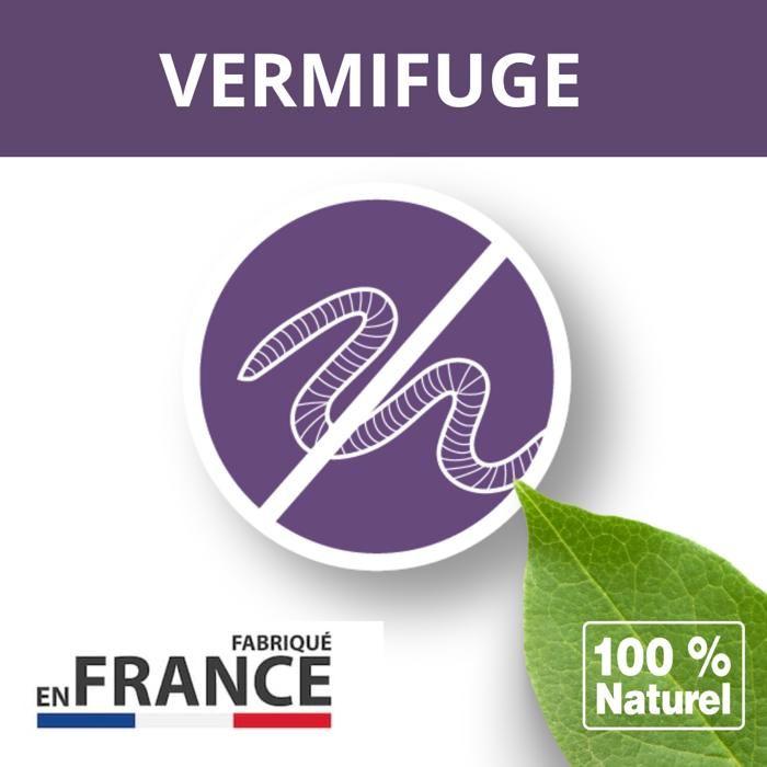 Néovéto comprimés vermifuges naturels VERMIPURGE Format ECO pour chiens - actifs agréés par les services vétérinaires français