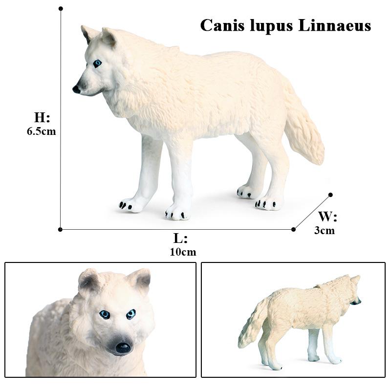 Oenux Дикие животные Маленький серый волк Гривистый волк Детеныши волков Модель для симуляции Коллекция фигурок из ПВХ Подарок Детская игрушка Подарок