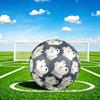 1pc Miniature Schnauzer Portrait Theme Soccer Ball Football, Size 5, Lightweight PVC, Outdoor Training Soccer Ball,Gift c65139