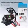 High-Power Diesel Electric Self-Priming Oil Transfer Pump, 12V/24V/220V, 550W Vehicle-Mounted Fuel Dispenser