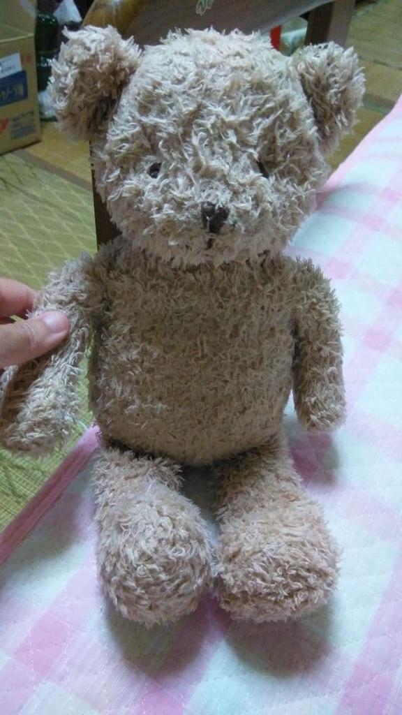 [USED] Teddy Bear