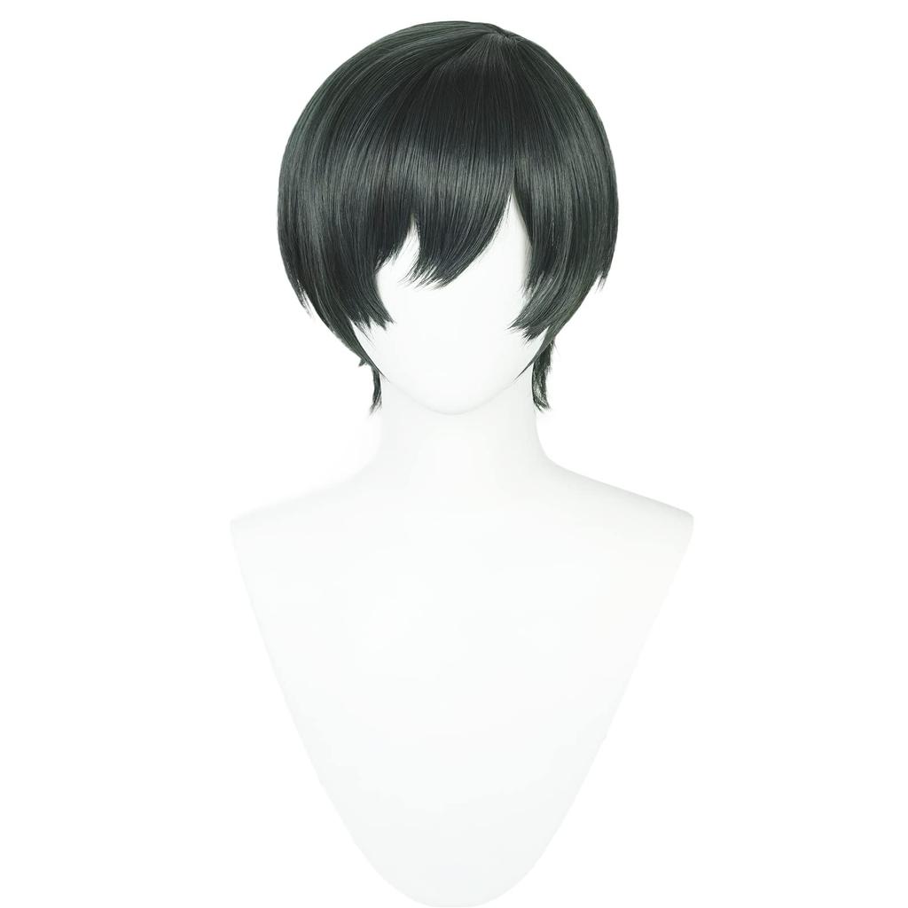 Blue Locks Rin Itoshi Wig, Cosplay Wig, High Temperature Resistant, School Festival Wig with Net (Rin Itoshi Wig)