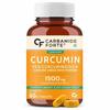 Carbamide Forte Curcumin Tablets with Piperine and 95% Curcuminoids | Anti Inflammatory Supplement for Adults| 60 Veg Tablets