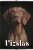 Книга Vizslas : Dog Breed Overview and Guide