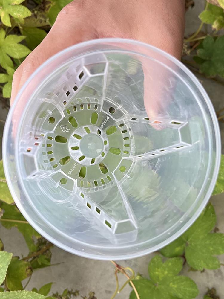 Transparent Flower Pot Potted Phalaenopsis Orchid Green Plant Plastic Seedling Pot Orchid Pot Gardening Supplies with Bottom
