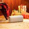 Sony Портативная Bluetooth-колонка ULT FIELD 5 (Китайская версия)