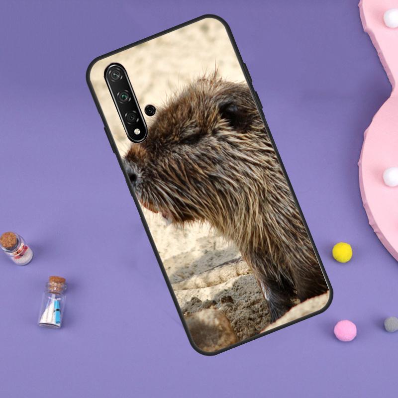 Животное Бобр Для Huawei Nova 7i 8i 11i 12i 12s 9 10 SE Y60 Y61 Y70 Y72 Y73 Y90 Y91 P20 P40 P30 Lite Чехол