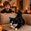Headless Knight Style Pet Clothing Pumpkin Lantern Funny Style Cat Dog Festival Party Transformation Dress