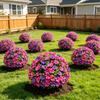 Garden Camp Decor Artificial Morning Glory Flowers with Ground Stake for Outdoor Yard
