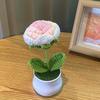 1PC Handmade Weaving Mini Potted Flowers DIY Home Office Desktop Decoration Potted Plants Wool Home Decoration