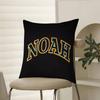 Fashionable Traditional Design Style-NOAH Pillow Case Comfort Sofa Bed Silky elegant Invisible zipper Decorative cushion cover