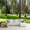 Forest Landscape Mural Nature 3d Wallpaper, Living Room Bedroom Mural Home Decor Wallpaper