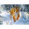 5D DIY Diamond Painting"tiger Is In Snow"Diamond Embroidery Cross Stitch Rhinestone Mosaic Painting