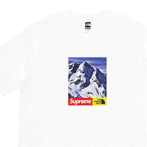 Supreme FW17 T Shirt Unisex White (Unisex) T-Shirts SS18 0229