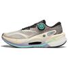 Li Ning Furious Rider 7.0 PRO V2 Беговые кроссовки Мужские Низкие Rock White Gray/Tree Gray Brown ARZU001-12