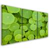 Картина из трех частей, печать на холсте Зеленые листья