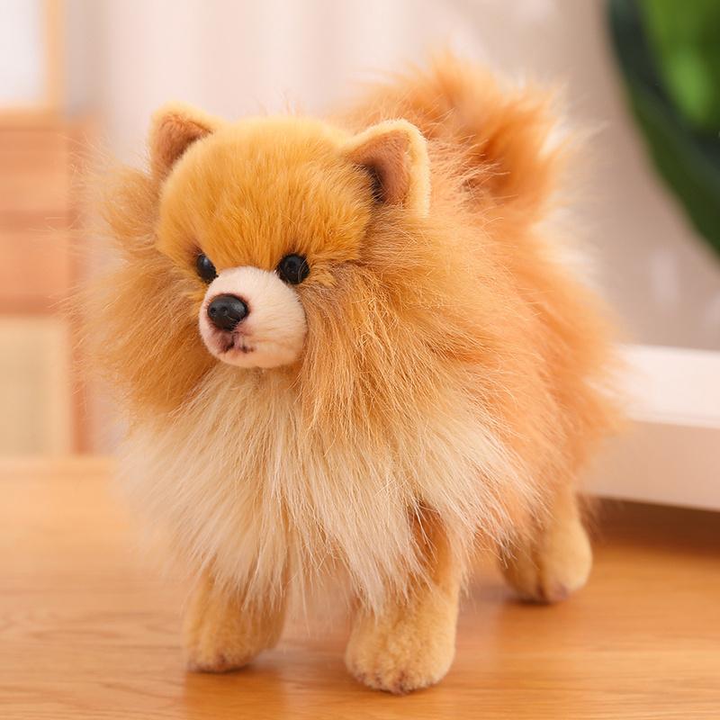 Premium Cute Plush Pomeranian Dog Real Life Toystuffed Animals Soft Puppy Pet Doll Children Kids Girls Lovely Gift