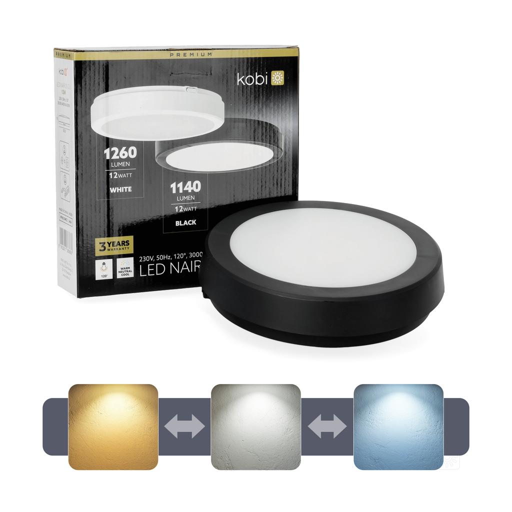 LED ceiling lamp G2 12W 3CCT IP65 black