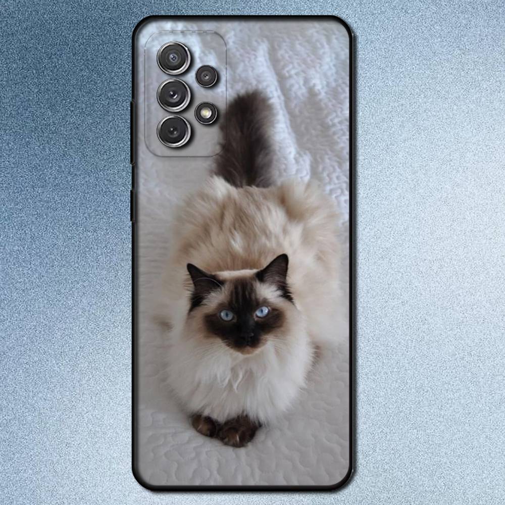 S-Сиамские кошки Милый чехол для телефона для Samsung S 25,24,23,22,30,21,10,9,Ultra,Plus,Lite,FE,4,5G Черный Мягкий чехол