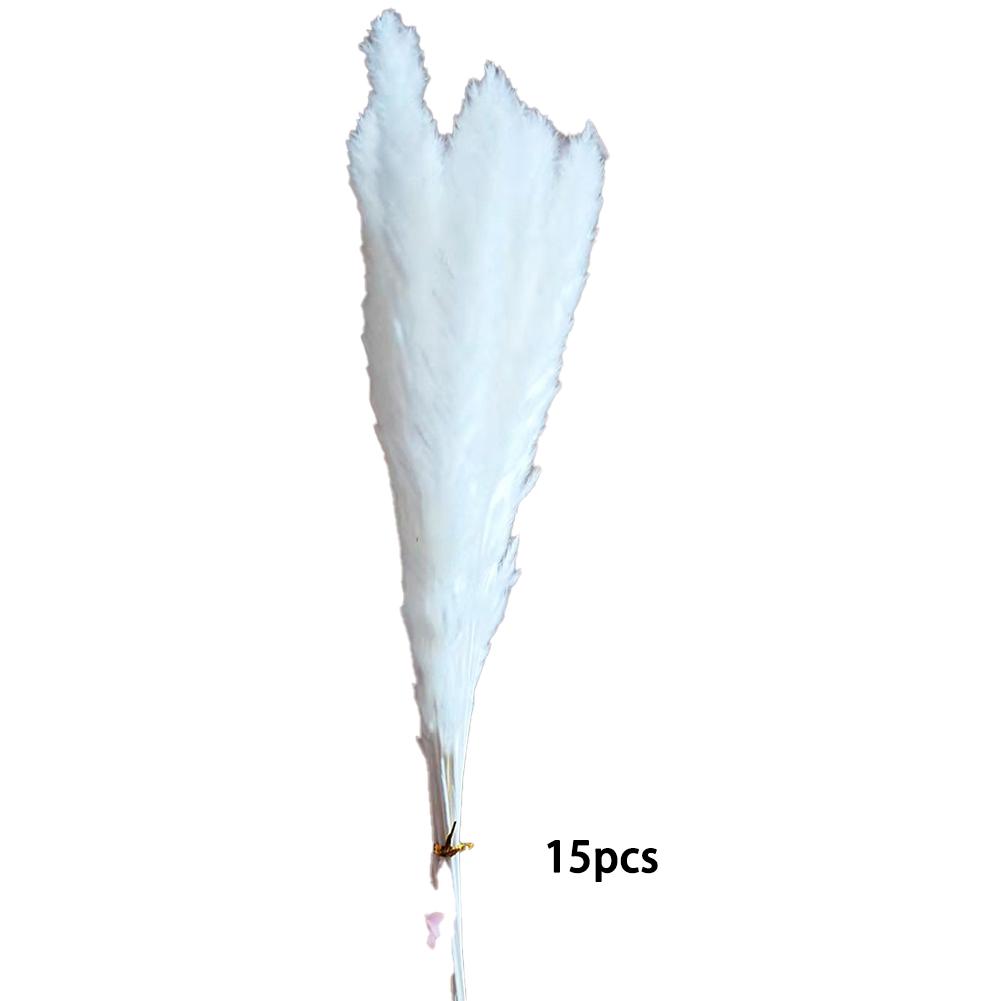 1 пучок сушеных тростниковых цветов, натуральные растения, сушеные пампасные травы, украшения для гостиной, обеденные столы, вечерние украшения для прихожей