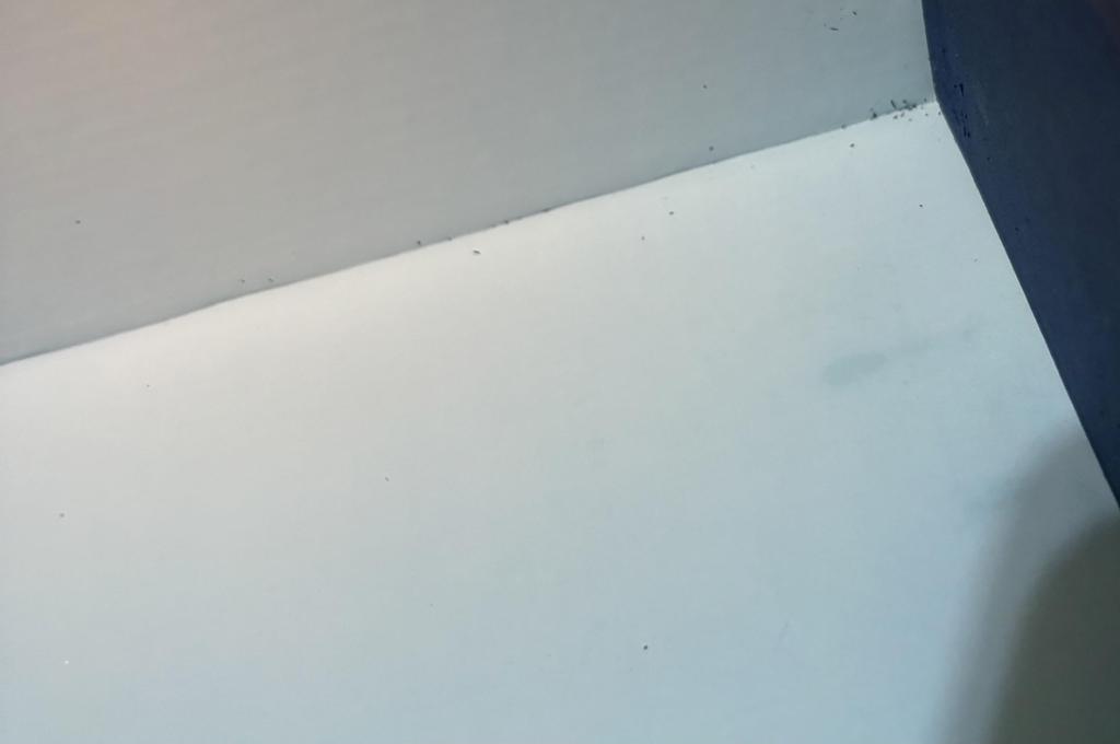 КОНТРОЛЛЕР STEAM [Параллельный импорт]