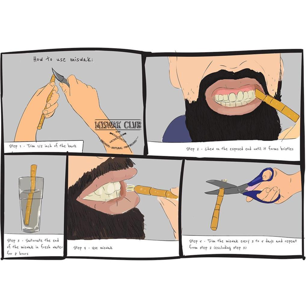 Zaitoon Miswak Травяная натуральная зубная щетка Натуральная ароматизированная щетка Органические зубные палочки Исламская сунна Продукт