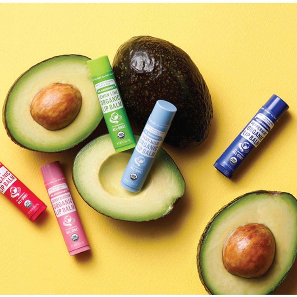 Dr. Bronner's Lip Balm 12ea