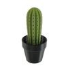Toothpick Holder-Cactus Toothpick Dispenser 3D Printed Cactus Toothpicks Container Holders Decorative Multifunctional Succulents