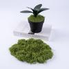 Bionic Fake Moss Turf for Landscaping & Ornamental Potted Plants - Lawn, Bonsai, Micro Landscape & Paving Decor