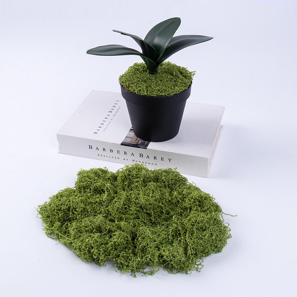 Bionic Fake Moss Turf for Landscaping & Ornamental Potted Plants - Lawn, Bonsai, Micro Landscape & Paving Decor