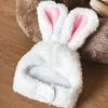 [Pet] Rabbit Hat