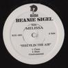 12-дюймовая пластинка BEANIE SIGEL, MELISSA JAY - Feel It In The Air ROC1051 Roc-A-Fella Rec 2005 США Рэп и хип-хоп/R&B Б/У