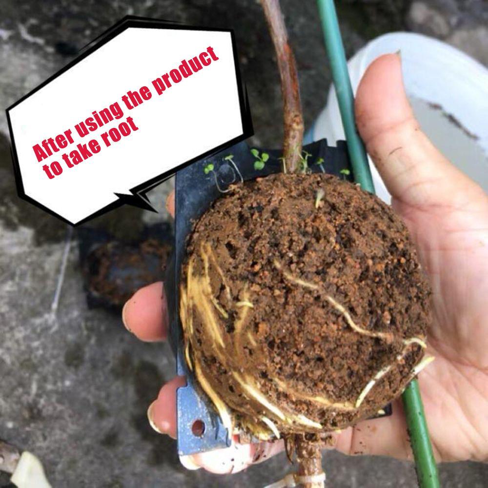 Шар для размножения Ботаника Контроллер корней Пластиковый кейс для размножения Инкубатор высокого давления Бокс для выращивания Оборудование для укоренения растений