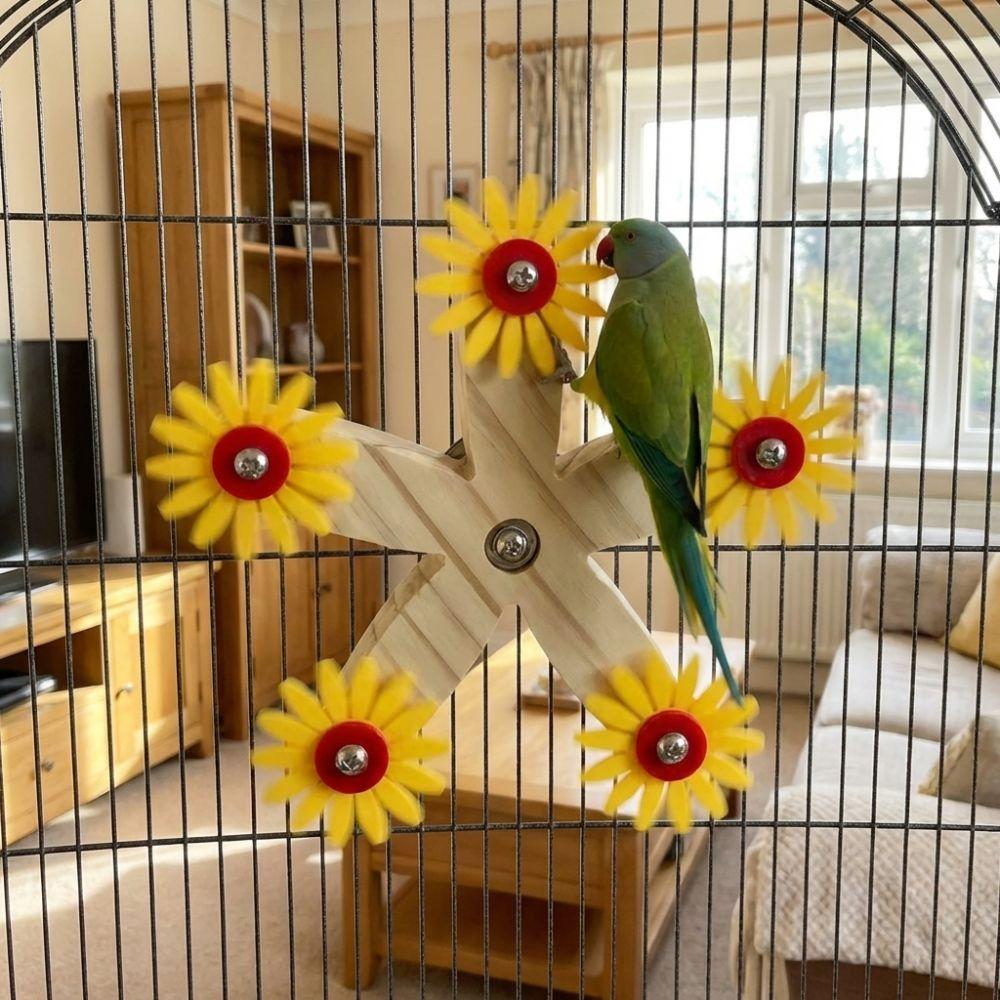 Wear Resistant Rotating Ferris Wheel Bite-Resistant Interactive Parrot Toys Bird Cage Accessories