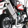 Nankai Parts не Monkey Power Comp Глушитель Весь Нержавеющий Сталь Неправильной Формы Глушитель (НАНКАЙ) Транспортное средство в комплекте (Тип 14) ММ-14