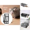 Hassle-free Iron Mouse Trap Control Catcher Easy To Set Up And Effective Pest Control