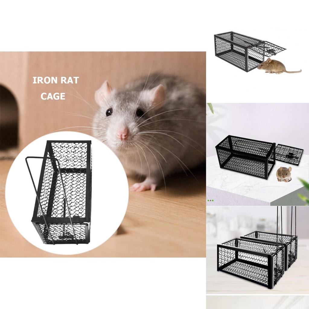 Hassle-free Iron Mouse Trap Control Catcher Easy To Set Up And Effective Pest Control