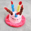Digit Dog Crazy Toy, Pink Birthday Hat, 1 Piece